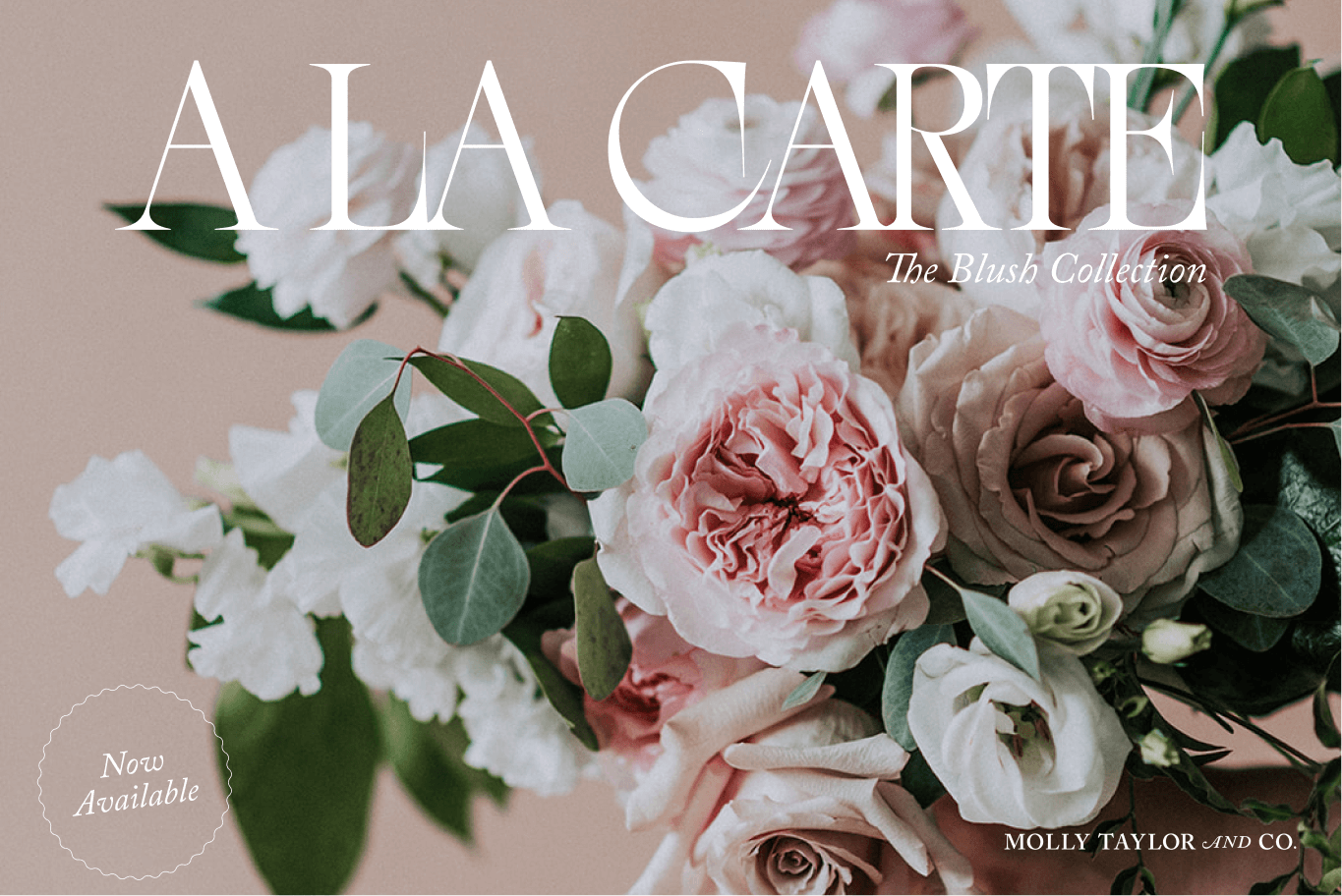 Molly Taylor & Co ALC 1