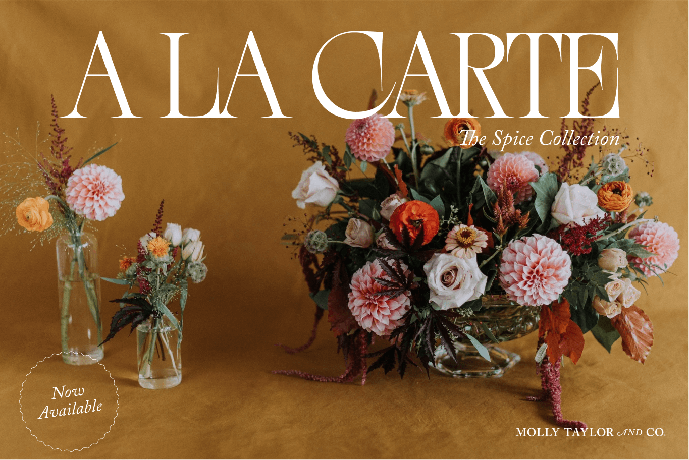 Molly Taylor & Co Cream