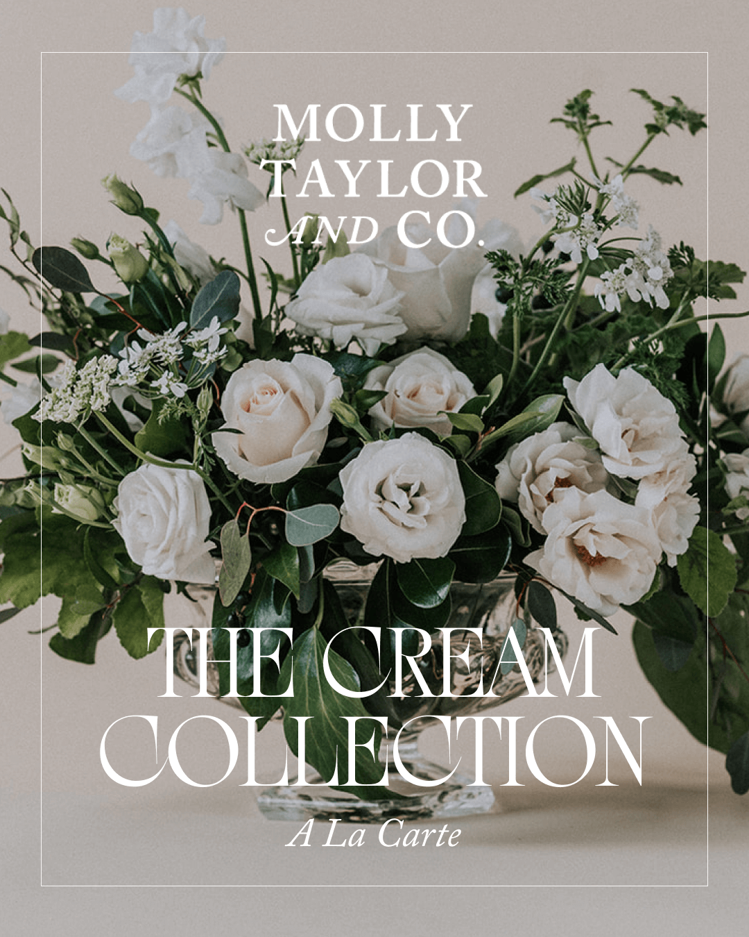 Molly Taylor & Co Spice
