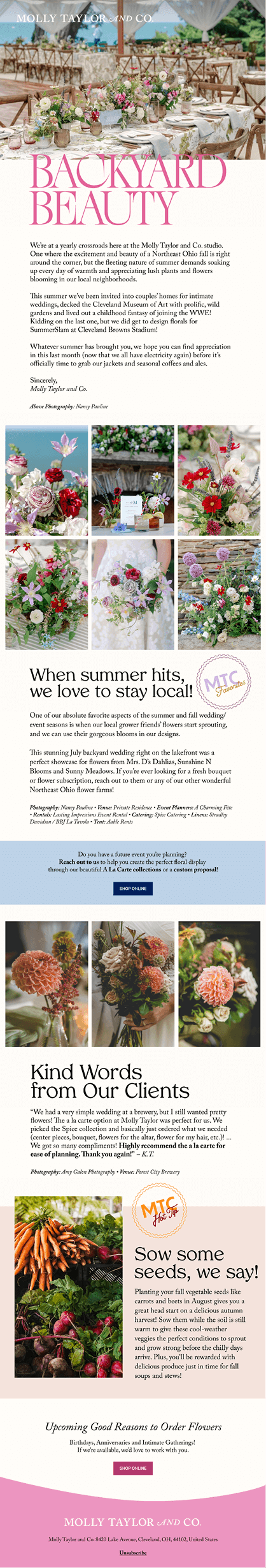 Molly Taylor & Co Fall Email Campaign