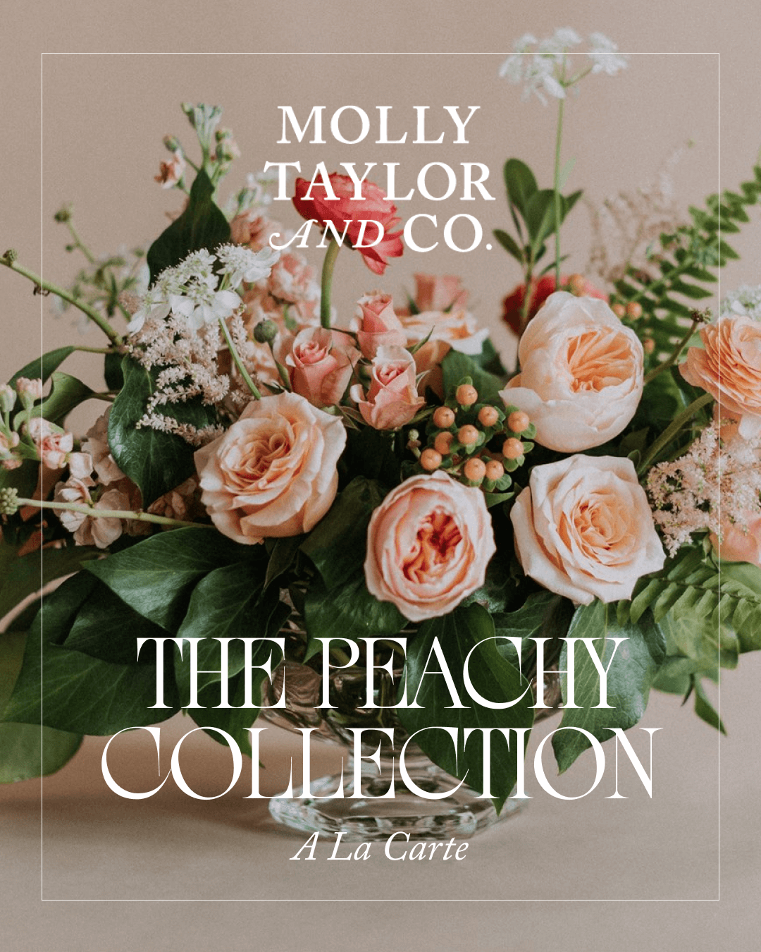 Molly Taylor & Co Peachy