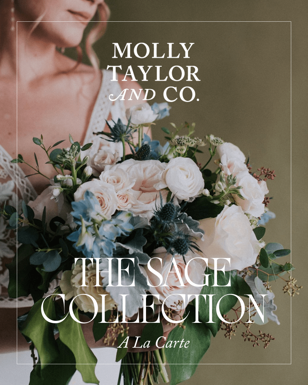 Molly Taylor & Co Sage