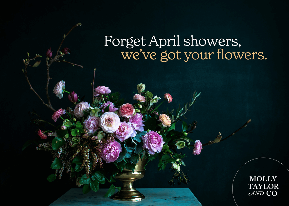 Molly Taylor & Co spring