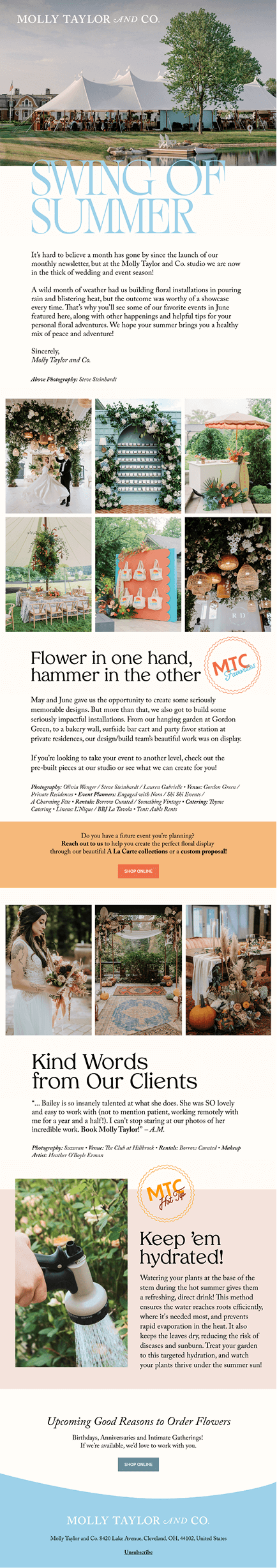 Molly Taylor & Co Summer Email Campaign