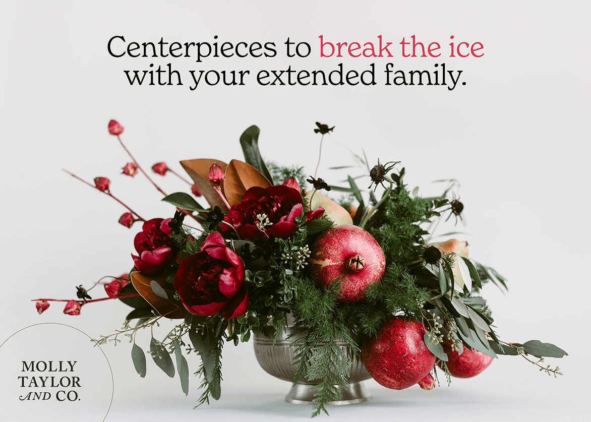 Molly Taylor & Co winter