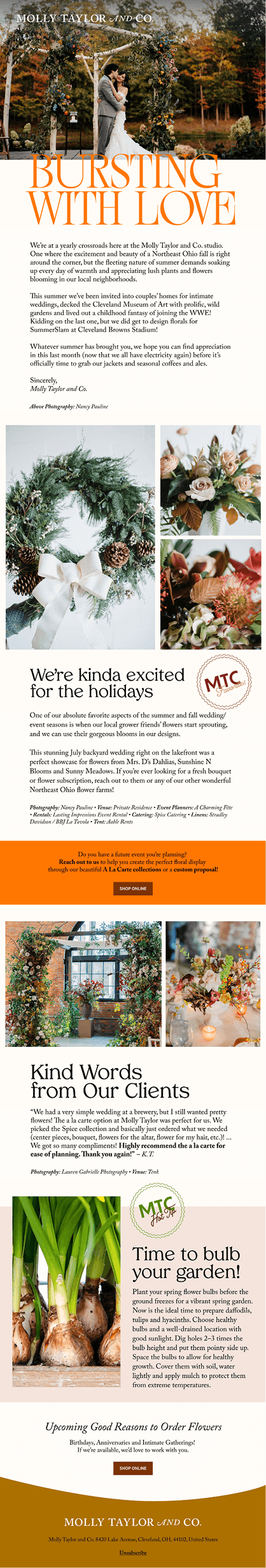 Molly Taylor & Co Winter Email Campaign